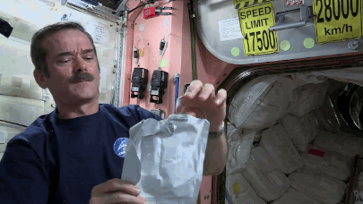this-is-what-being-in-space-does-to-the-human-body-12-photos-8