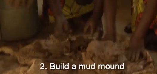 build-a-mud-mound