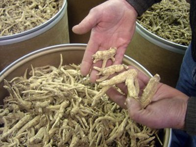 ginseng-skip-it--while-some-research-finds-that-it-can-help-curb-fatigue-scientists-say-more-is-needed-to-prove-that-its-safe