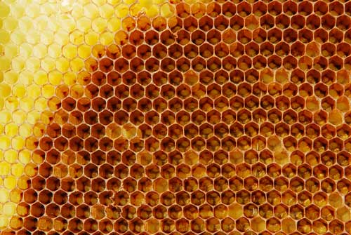 honeycomb