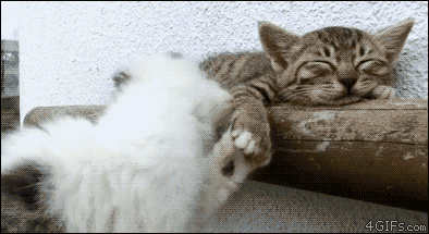 tired-008gif