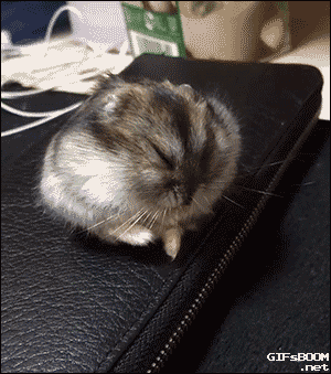 tired-023gif