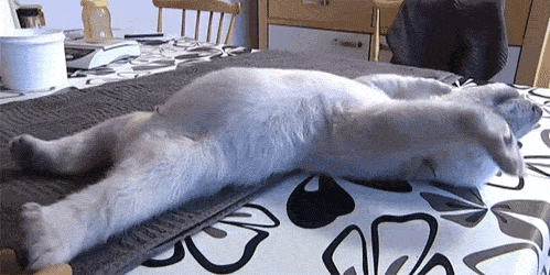 tired-026gif