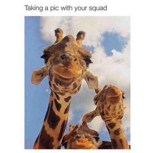 edit-31790-1449697562-3