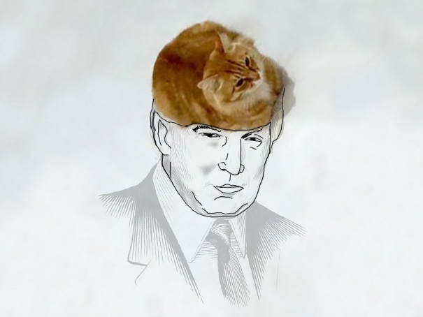 funny-doodles-on-lovely-cat-photo-donald-trump__605