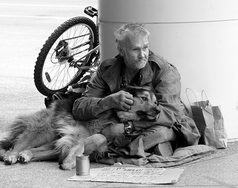 homeless-dogs-unconditional-love-best-friend-29__700