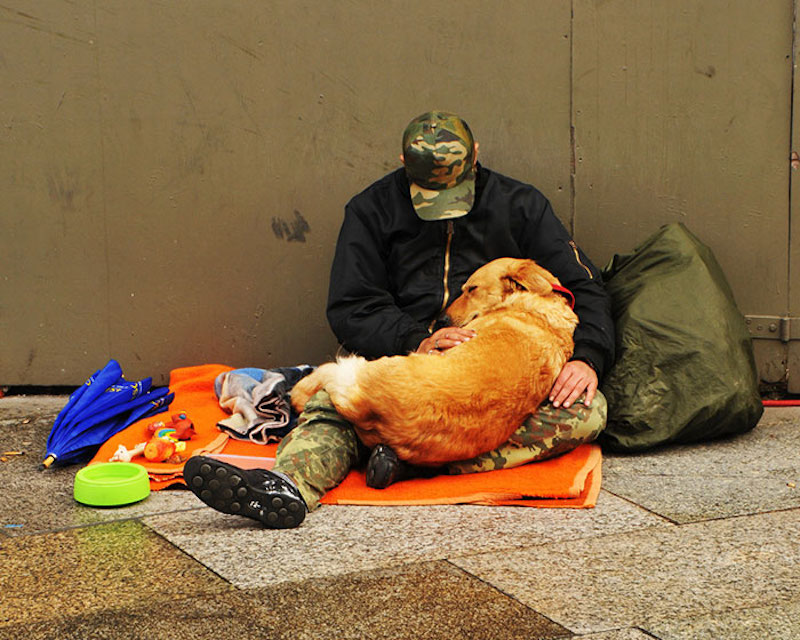 homeless-dogs-unconditional-love-best-friend-301__700