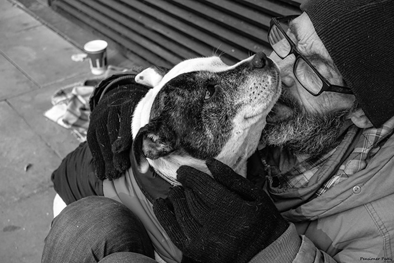 homeless-dogs-unconditional-love-best-friend-331__700