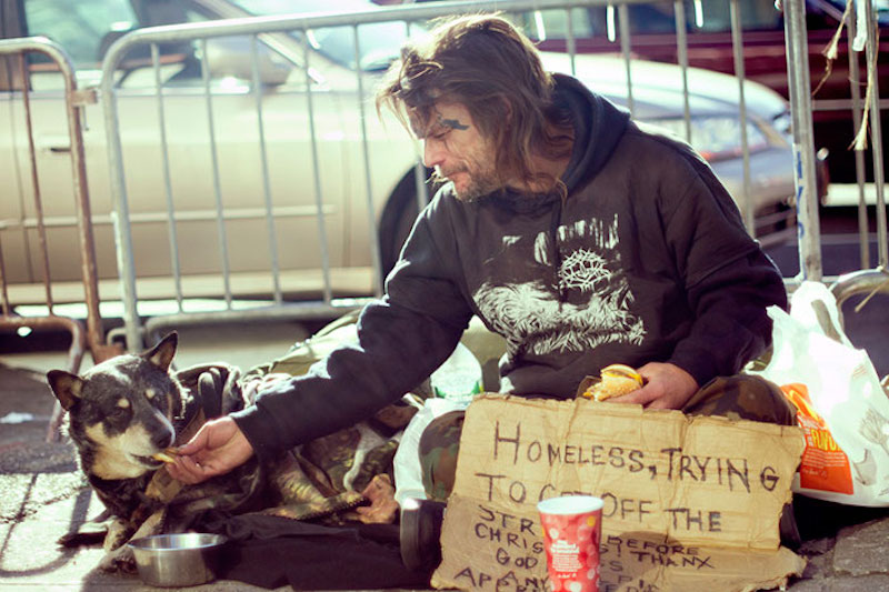 homeless-dogs-unconditional-love-best-friend-34__700