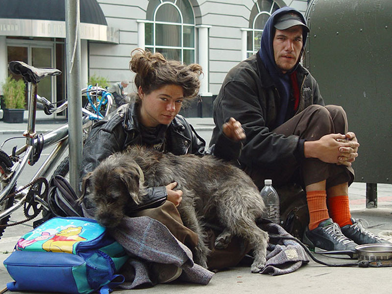 homeless-dogs-unconditional-love-best-friend-39__700