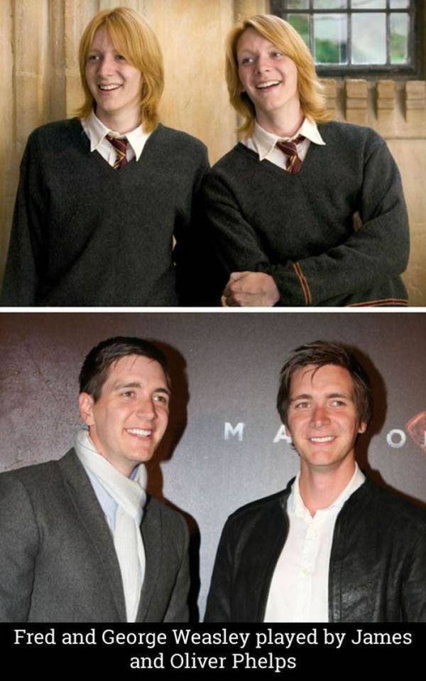 the-cast-of-harry-potter-14-years-later-22-photos-10