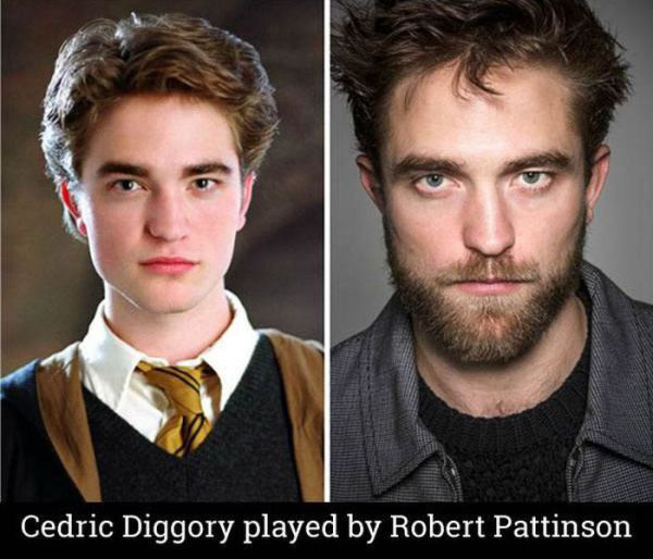 the-cast-of-harry-potter-14-years-later-22-photos-14