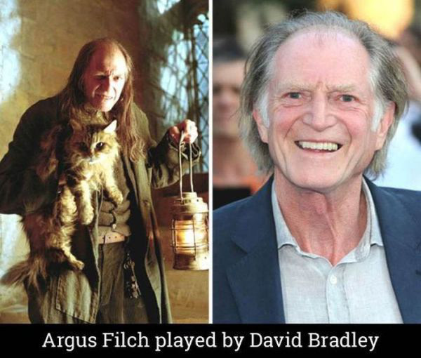 the-cast-of-harry-potter-14-years-later-22-photos-19