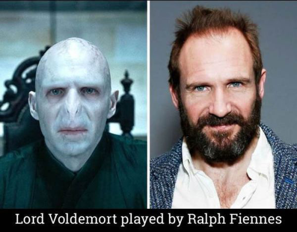 the-cast-of-harry-potter-14-years-later-22-photos-21