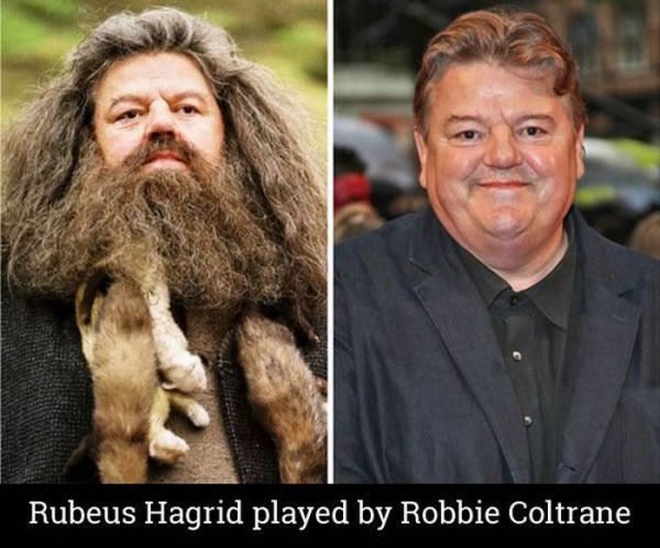the-cast-of-harry-potter-14-years-later-22-photos-5