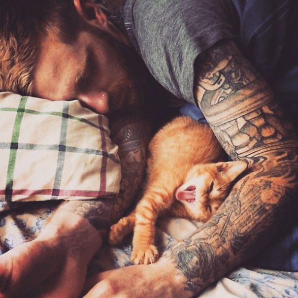 hot-dudes-with-kittens-instagram-431__605