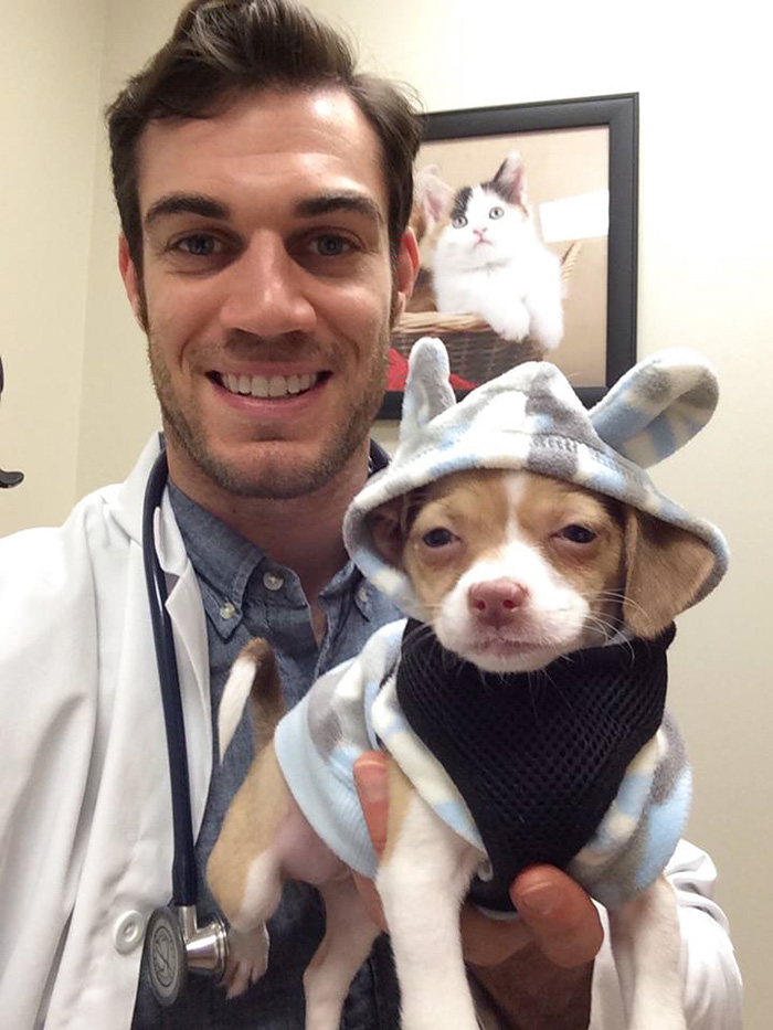 hottest-vet-pet-doctor-evan-antin-california-184__700