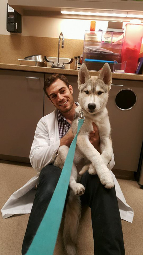 hottest-vet-pet-doctor-evan-antin-california-372__700