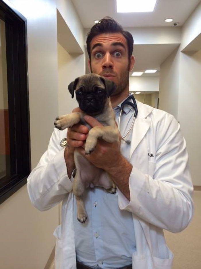 hottest-vet-pet-doctor-evan-antin-california-401__700