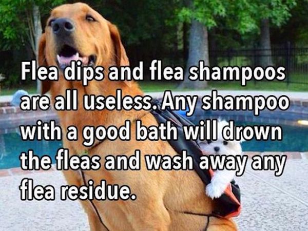 a-few-useful-life-tips-provided-by-professionals-25-photos-26