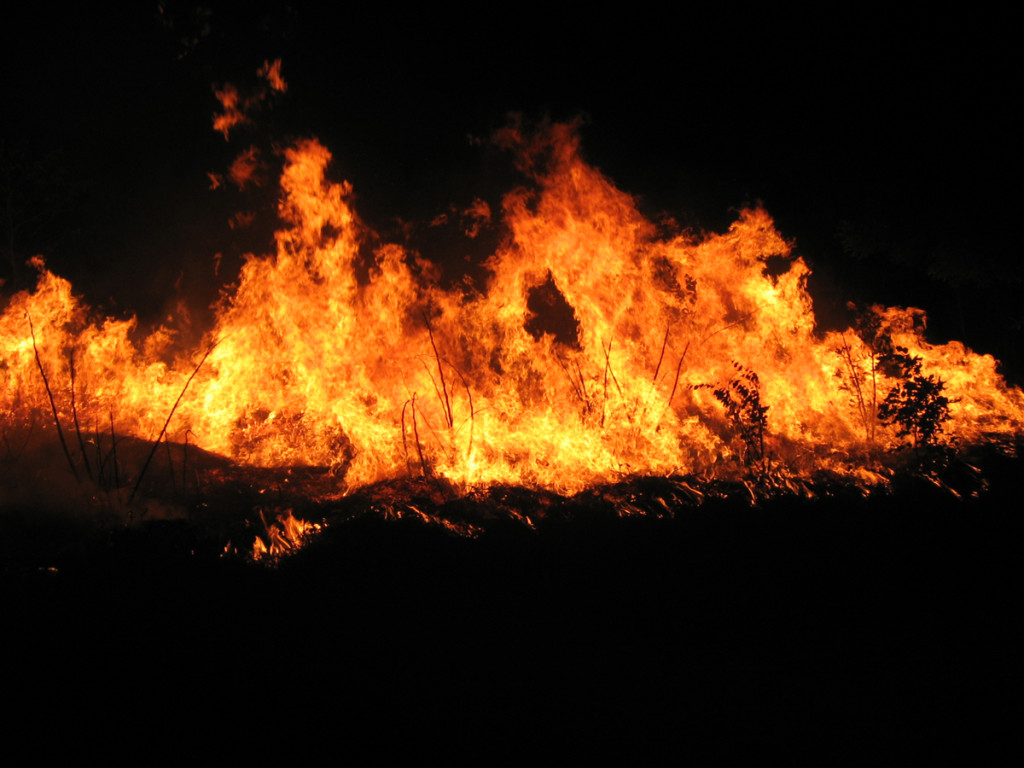 burning_field