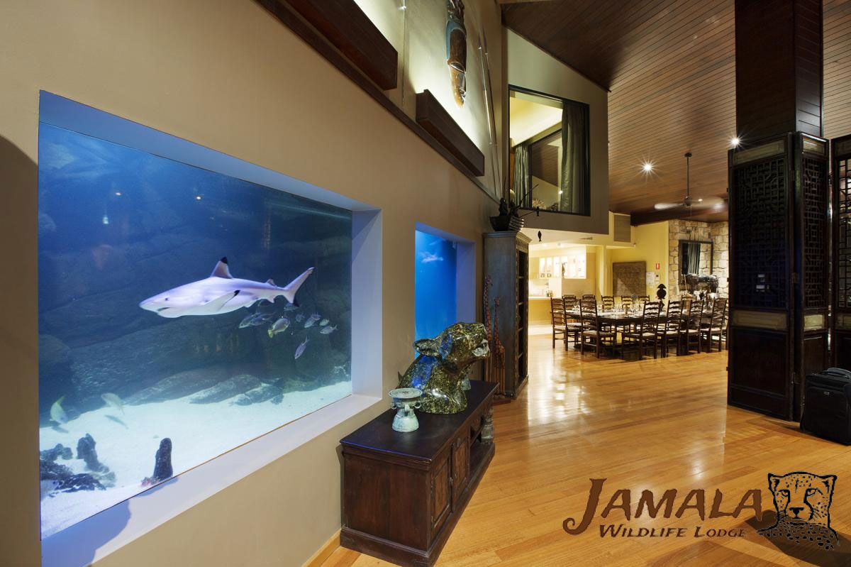 jamala-aquarium2