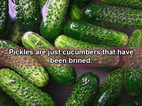 simple-facts-but-mind-blowing-facts-21-photos-10
