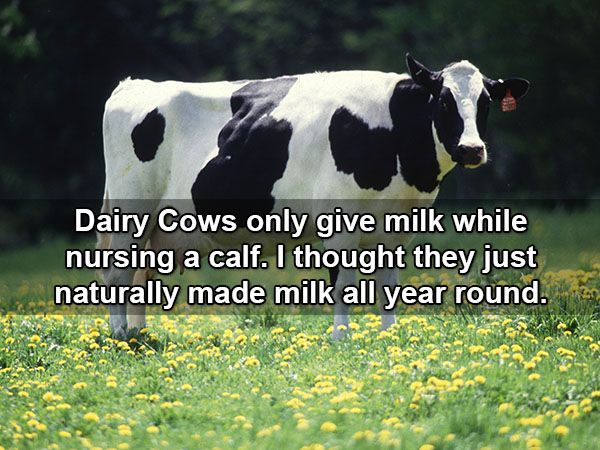 simple-facts-but-mind-blowing-facts-21-photos-11