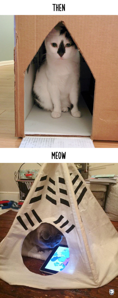 cats-then-now-funny-technology-change-life-20-571625ec249b3__700-1