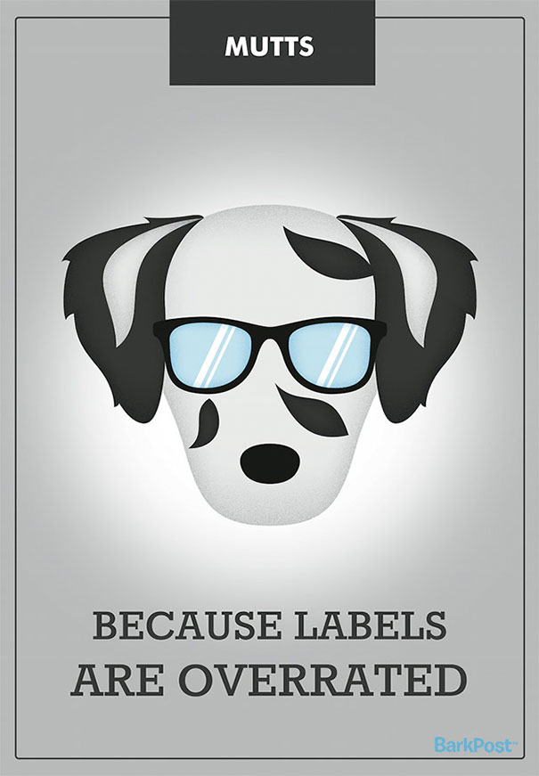 dog-breed-illustrations-labels-laura-palumbo-4-571e2dce6716b__605
