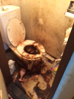 ec5c7aee3c2281dc8e3d570502ad40b3