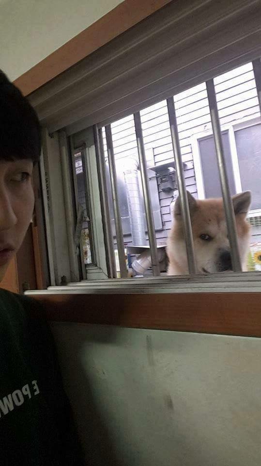 ee40855ebd50e556fdf940e10a365330