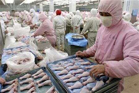 Chinese workers pack chicken drumsticks at a factory in Beijing January 29, 2004. REUTERS/China Photo