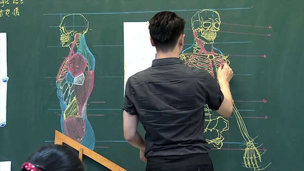 chinese-teacher-anatomical-chalkboard-drawings-21