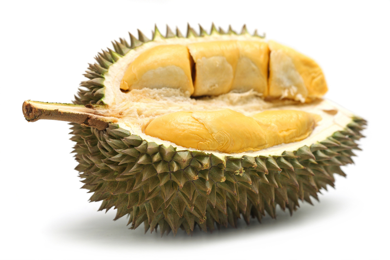 Close up of peeled durian isolated on white background.