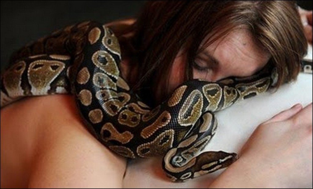 Snake-Massage6