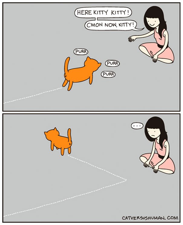 funny-cat-comics-cat-vs-human-1-579b040dc3e5b__605