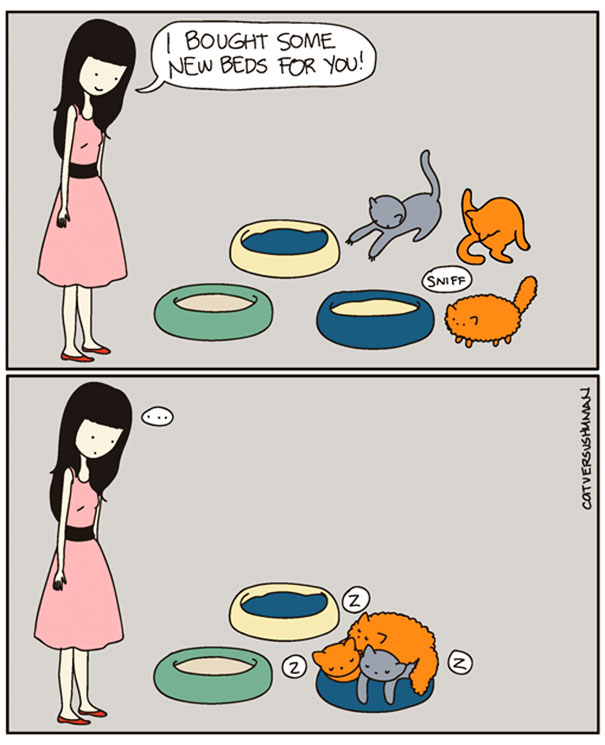 funny-cat-comics-cat-vs-human-16-579b0433116d8__605