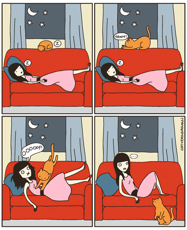 funny-cat-comics-cat-vs-human-31-579b045702bf8__605