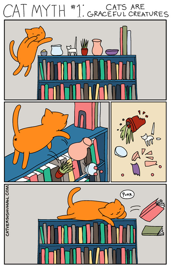 funny-cat-comics-cat-vs-human-6-579b041a1f510__605