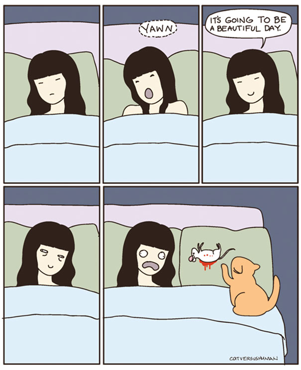 funny-cat-comics-cat-vs-human-61-579b04a503566__605
