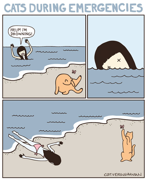 funny-cat-comics-cat-vs-human-79-579b04ce091ce__605