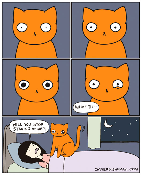 funny-cat-comics-cat-vs-human-87-579b04e101940__605