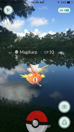 pokemon-go---a-magicarp-in-bayou-st-john-spotted-by-reader-katie-simons-270738ac9ff7ae2f