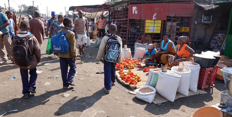2012_market_maputo_mozambique_7686523346
