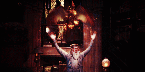 fawkes_y_dumbledore