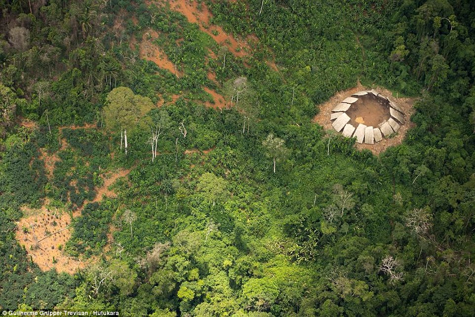 3a7a193e00000578-3946254-extraordinary_aerial_shots_of_an_untouched_tribe_have_captured_t-a-30_1479408478098