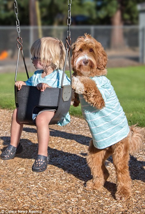 3ad149ff00000578-3977766-insperable_buddy_and_reagan_play_on_swings-a-2_1480362235080