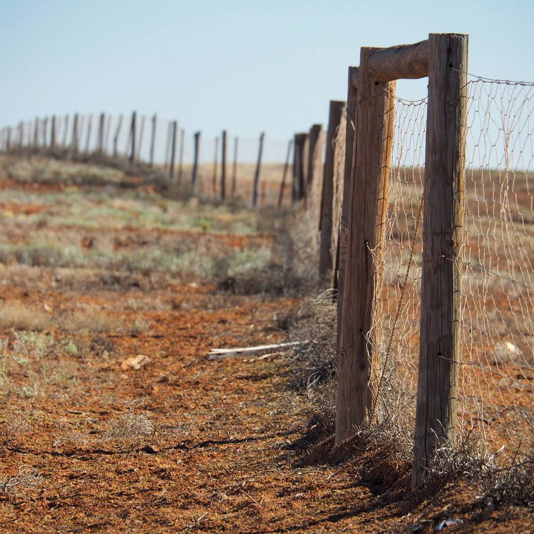 %e6%be%b3%e6%b4%b2%e7%89%b9%e8%89%b2