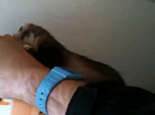 %e9%9b%aa%e8%b2%82%e5%aa%bd%e5%aa%bd%e7%94%9f%e4%b8%8b%e4%b8%80%e7%aa%a9%e8%b6%85%e8%90%8c%e5%af%b6%e5%af%b6%e3%80%80%e8%88%88%e5%a5%ae%e5%92%ac%e4%bd%8f%e4%b8%bb%e4%ba%ba%e9%82%80%e4%bb%96%e4%b8%80